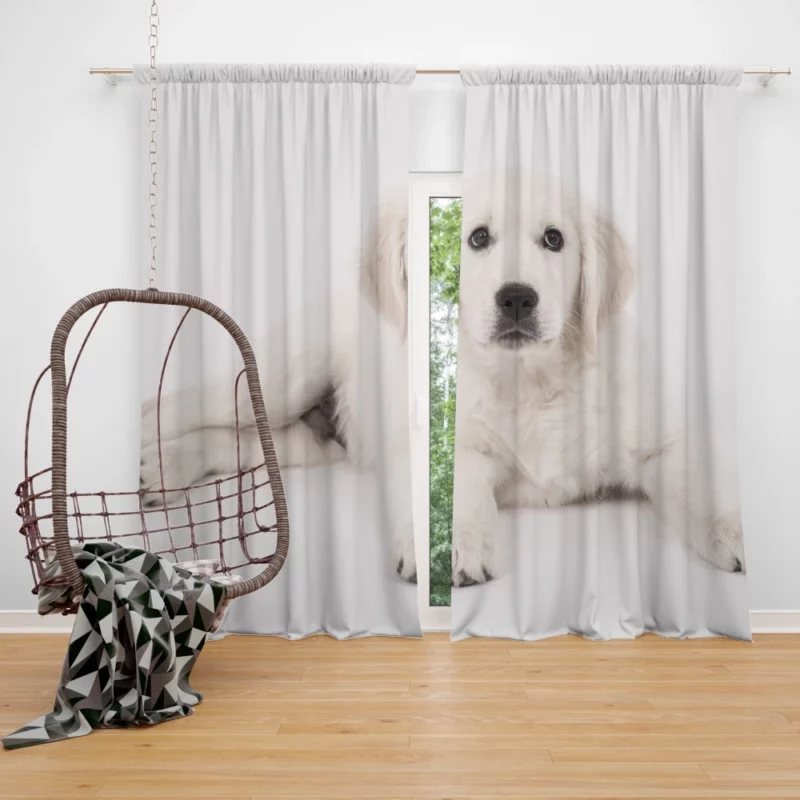 Golden Retriever Pup Delight Curtain