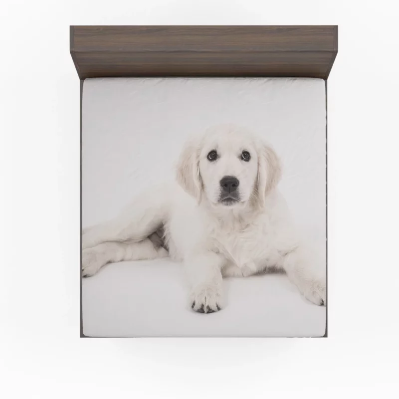 Golden Retriever Pup Delight Fitted Sheet 1