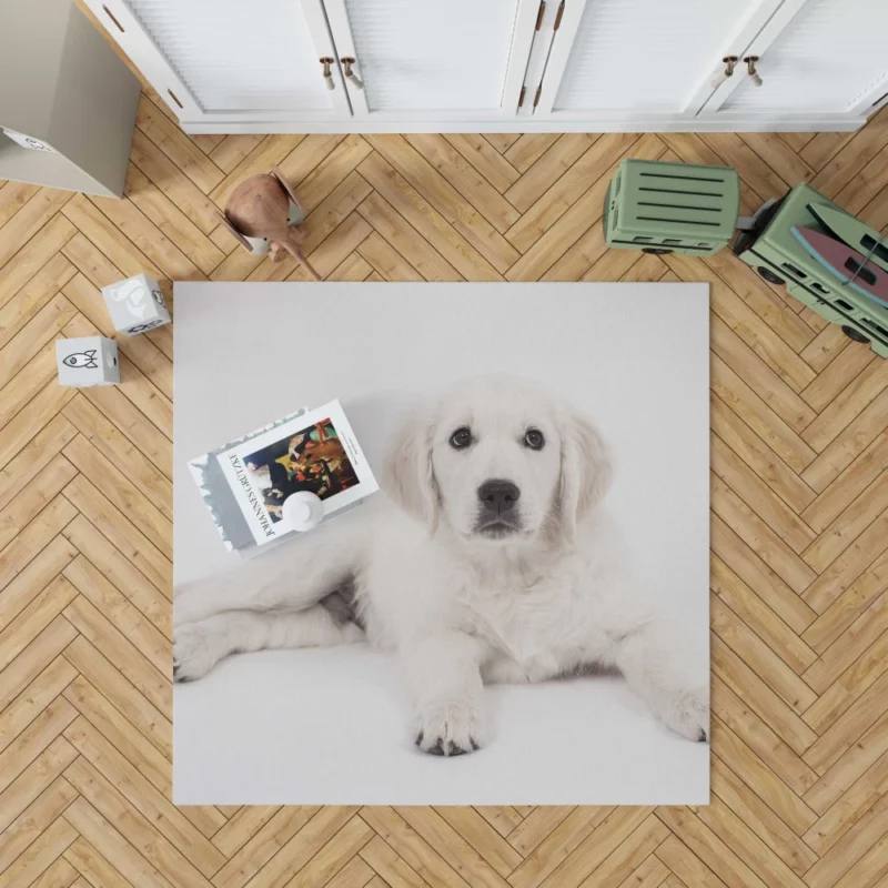 Golden Retriever Pup Delight Rug