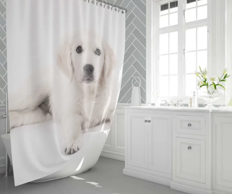 Golden Retriever Pup Delight Shower Curtain 1