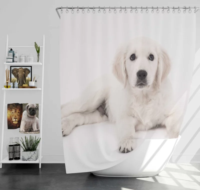 Golden Retriever Pup Delight Shower Curtain