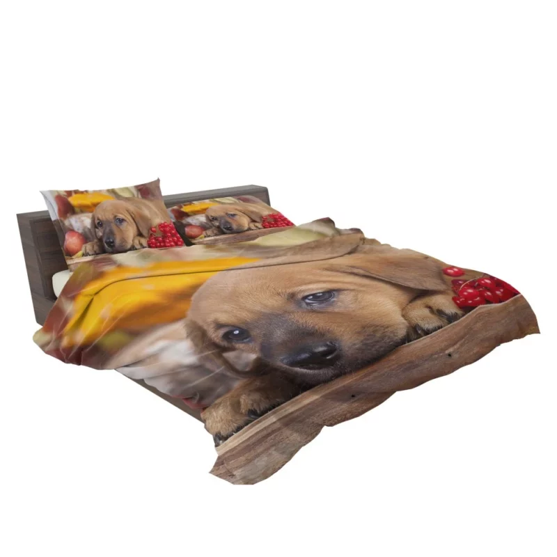 Golden Retriever Puppy Innocence Furry Wonder Bedding Set 2