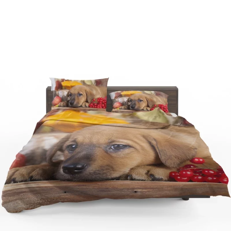 Golden Retriever Puppy Innocence Furry Wonder Bedding Set