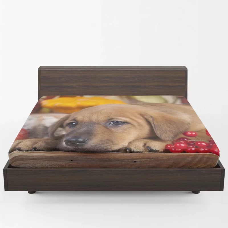 Golden Retriever Puppy Innocence Furry Wonder Fitted Sheet