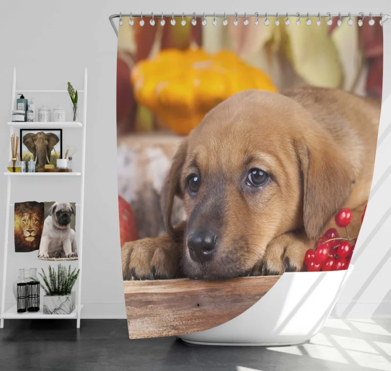 Golden Retriever Puppy Innocence Furry Wonder Shower Curtain