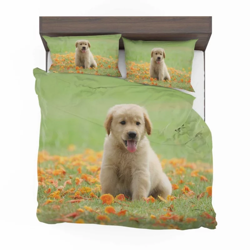 Golden Retriever Puppy Innocent Joy Bedding Set 1