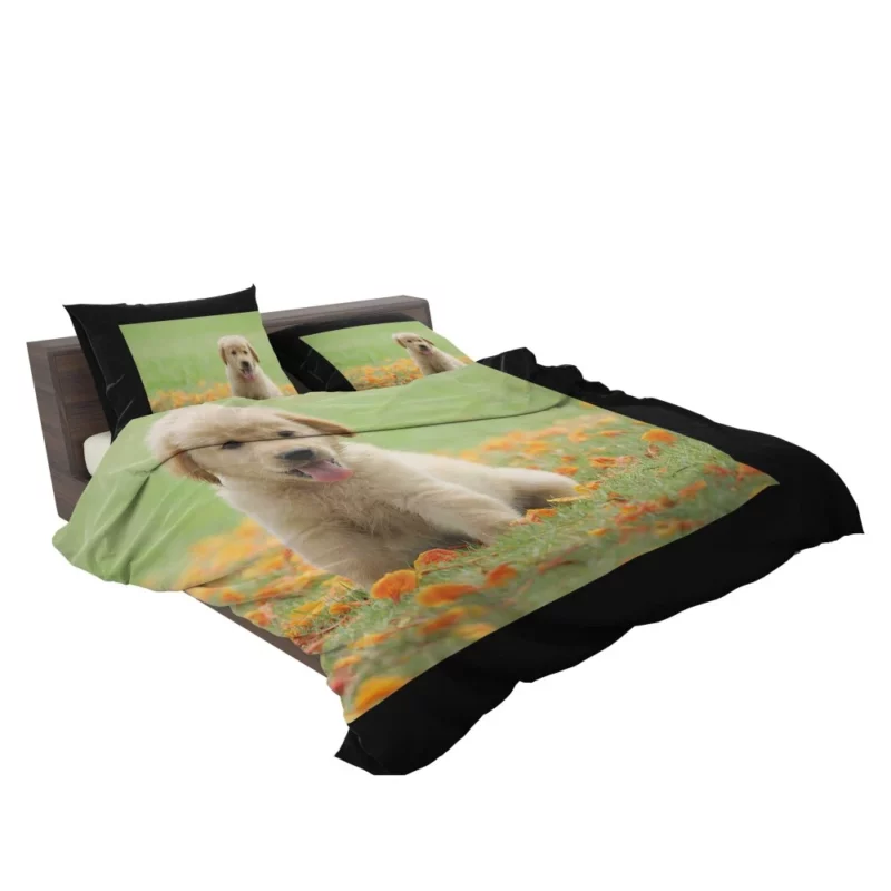 Golden Retriever Puppy Innocent Joy Bedding Set 2