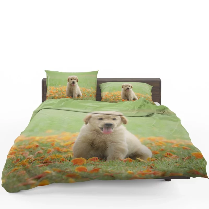 Golden Retriever Puppy Innocent Joy Bedding Set