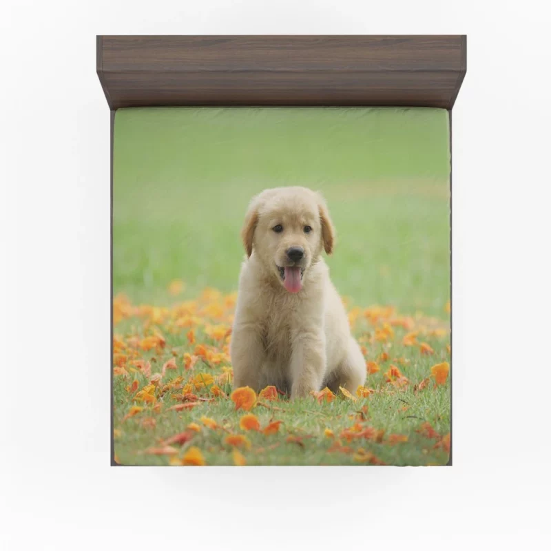 Golden Retriever Puppy Innocent Joy Fitted Sheet 1