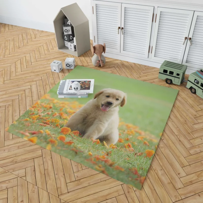 Golden Retriever Puppy Innocent Joy Rug 1