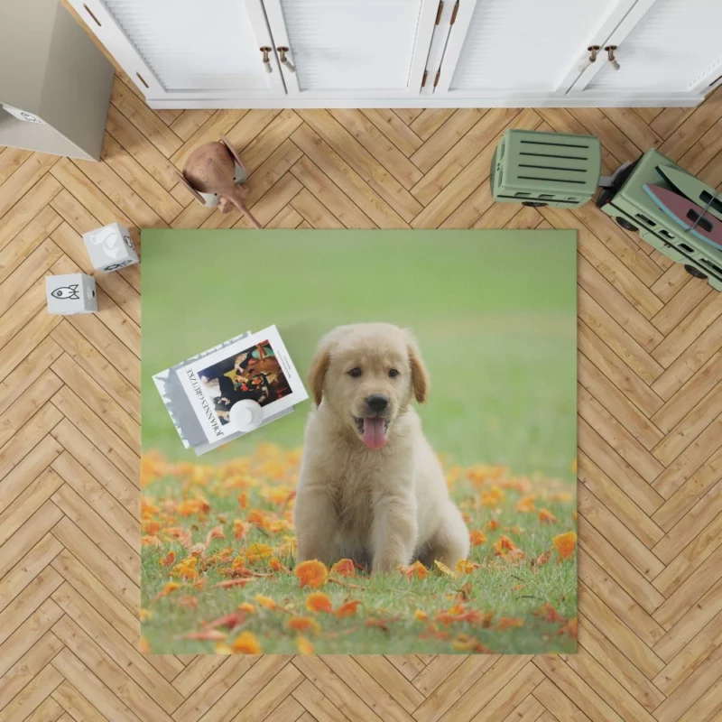 Golden Retriever Puppy Innocent Joy Rug