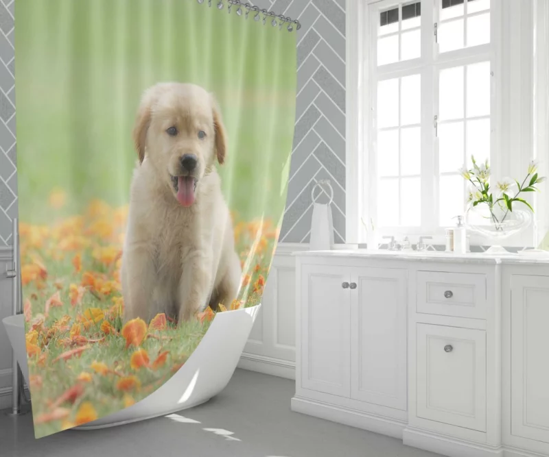 Golden Retriever Puppy Innocent Joy Shower Curtain 1