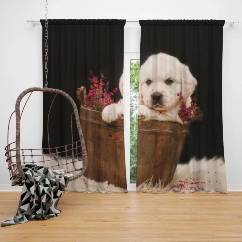 Golden Retriever Puppy Love Curtain