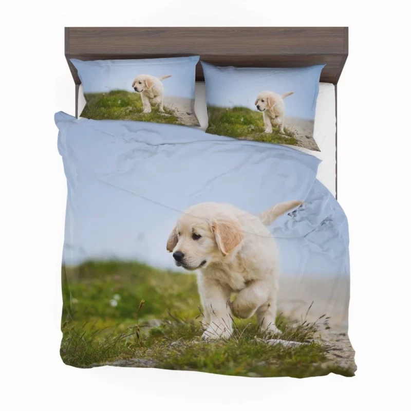 Golden Retriever Puppy Playful Charm Bedding Set 1