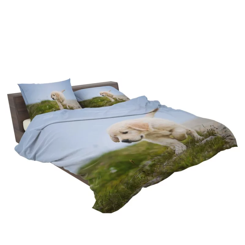 Golden Retriever Puppy Playful Charm Bedding Set 2