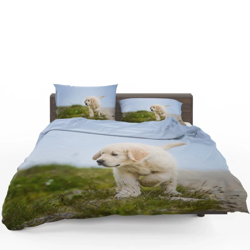 Golden Retriever Puppy Playful Charm Bedding Set