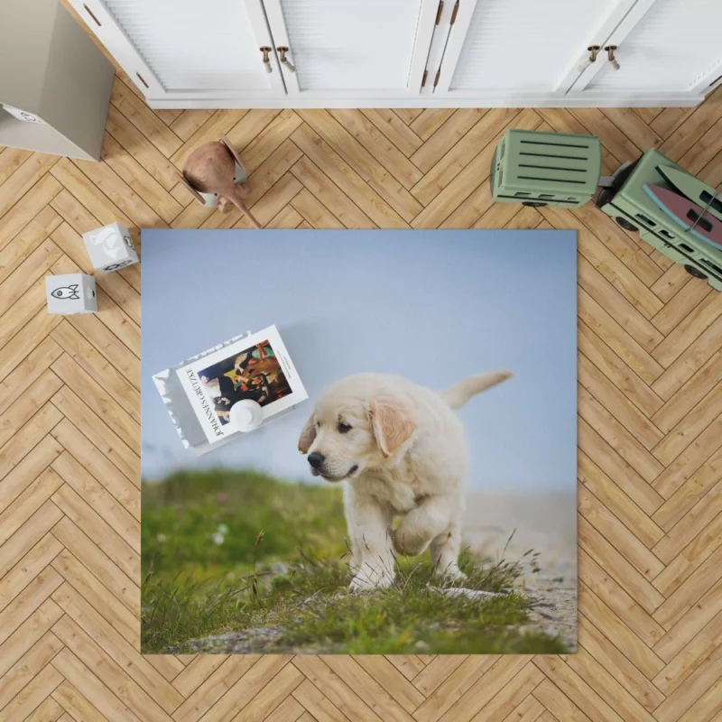 Golden Retriever Puppy Playful Charm Rug