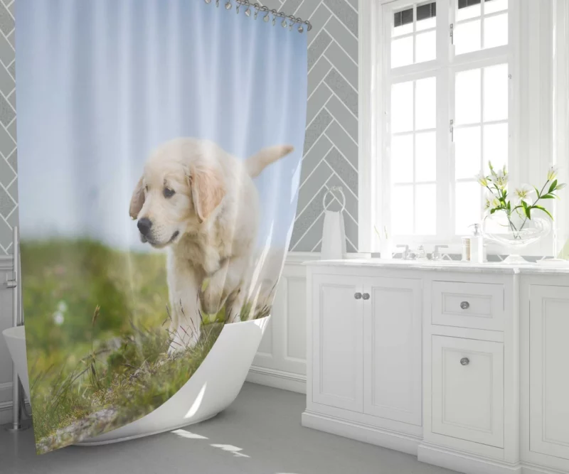 Golden Retriever Puppy Playful Charm Shower Curtain 1