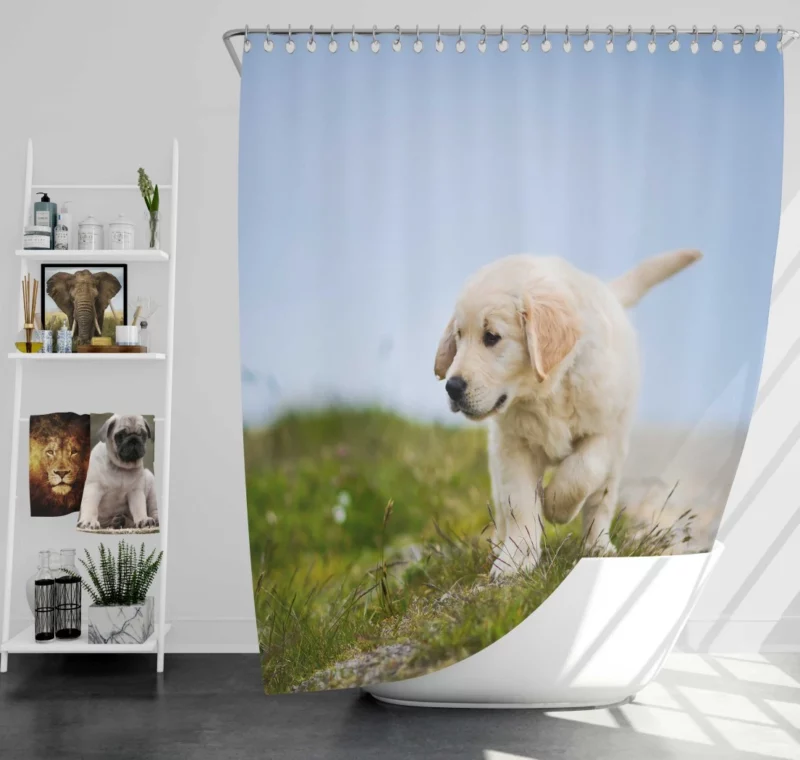 Golden Retriever Puppy Playful Charm Shower Curtain