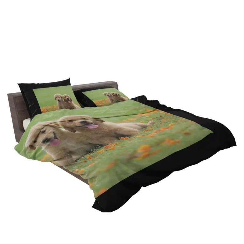 Golden Retriever Puppy Wholesome Charm Bedding Set 2