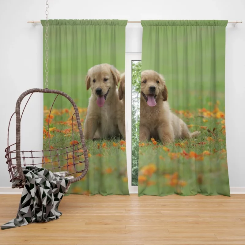 Golden Retriever Puppy Wholesome Charm Curtain