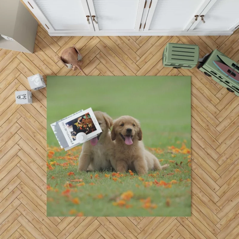 Golden Retriever Puppy Wholesome Charm Rug