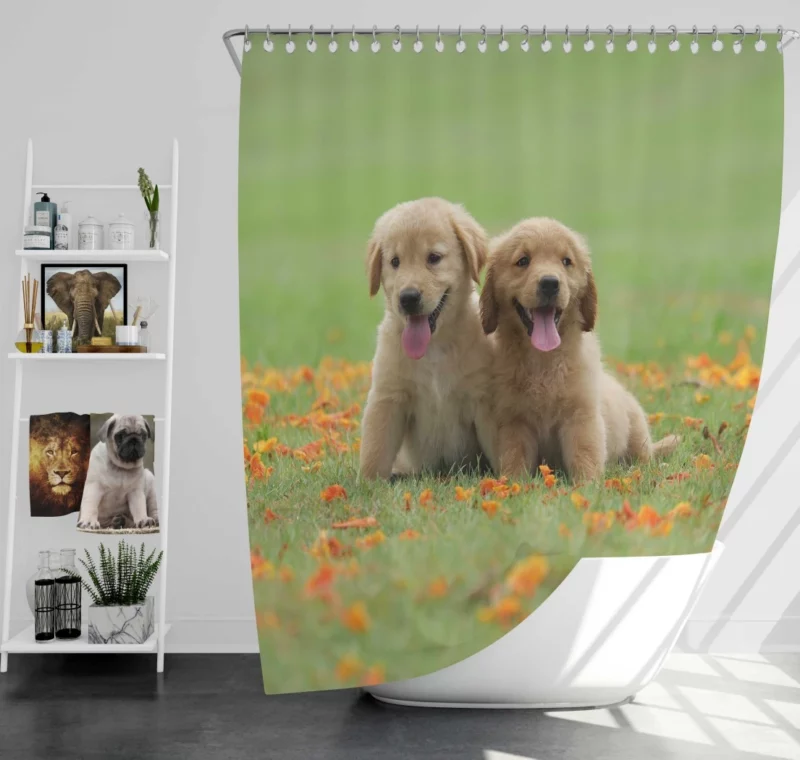 Golden Retriever Puppy Wholesome Charm Shower Curtain