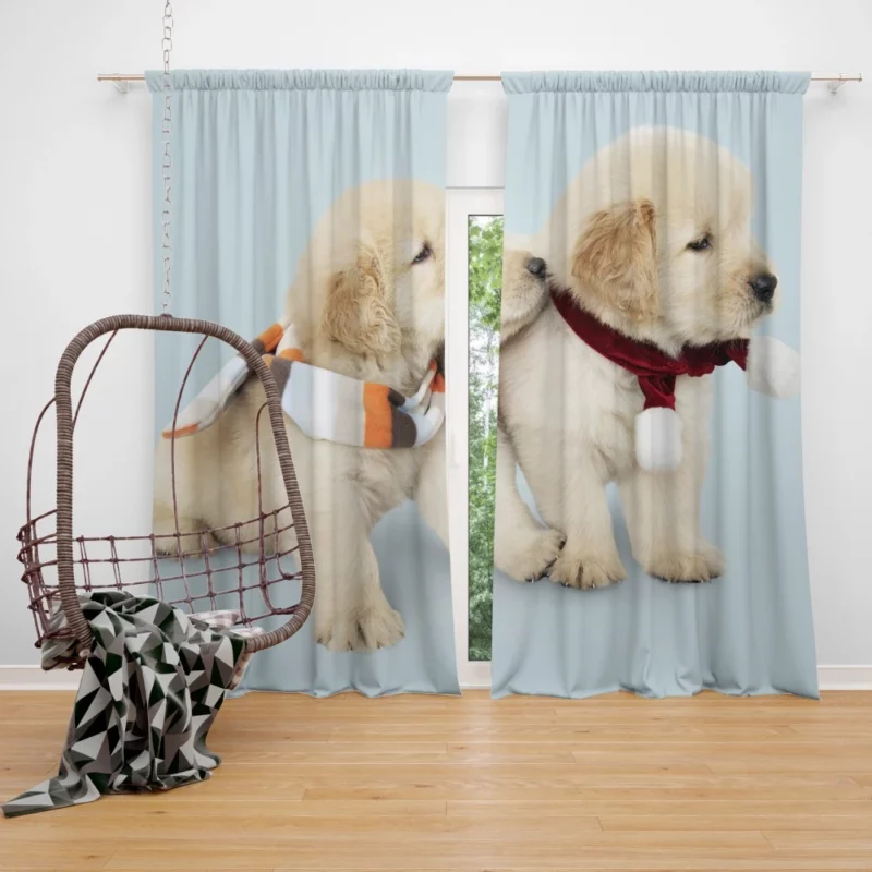 Golden Retriever Puppy Wholesome Joy Curtain