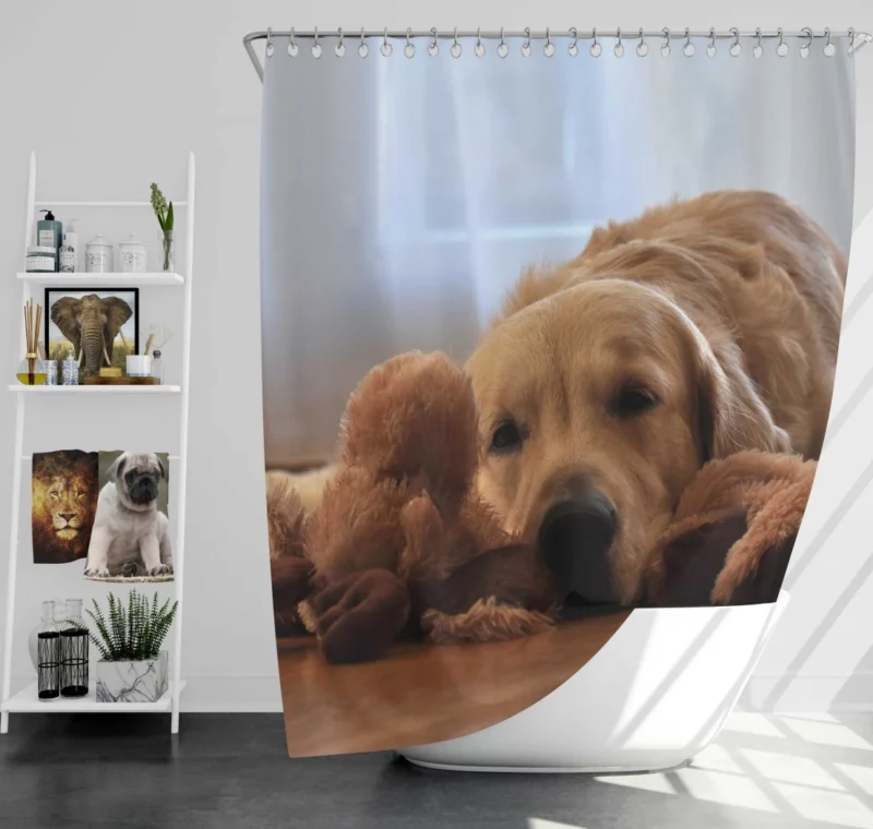 Golden Retriever Relaxed Pose Canine Serenity Shower Curtain