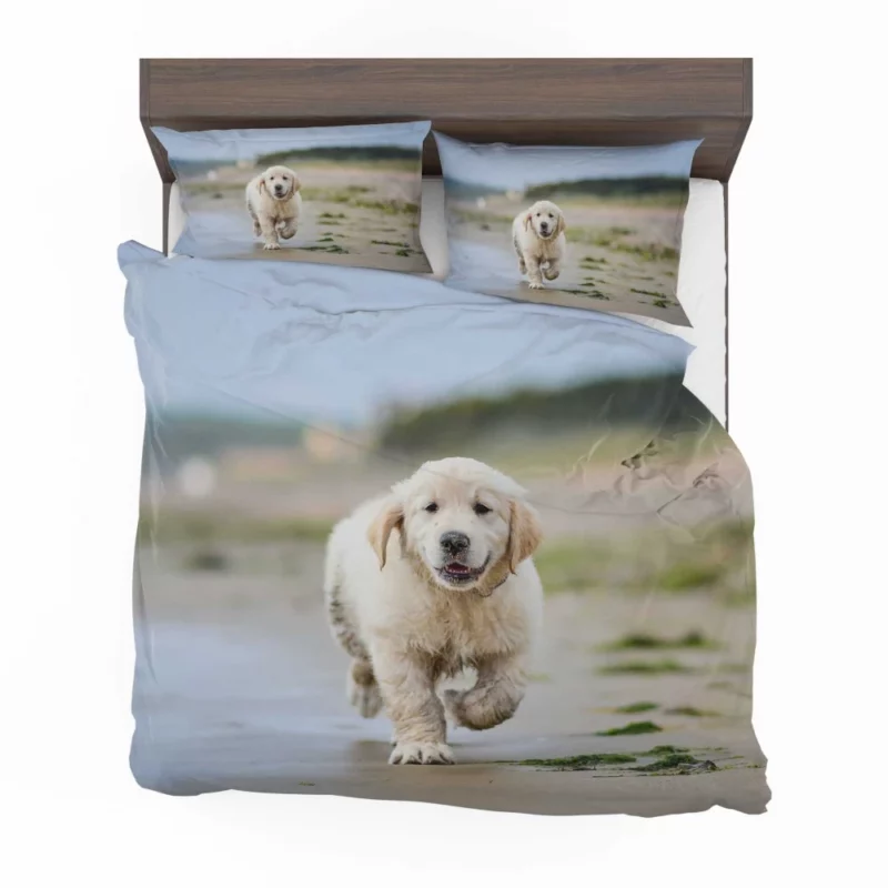 Golden Retriever Sandy Playtime Bedding Set 1