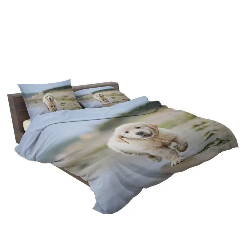 Golden Retriever Sandy Playtime Bedding Set 2