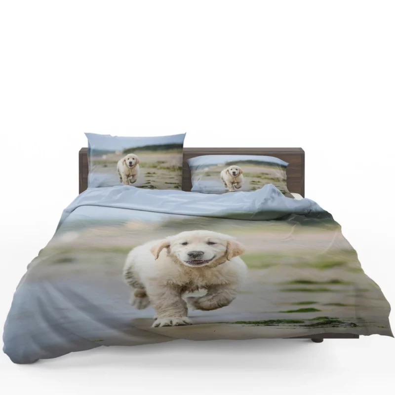 Golden Retriever Sandy Playtime Bedding Set