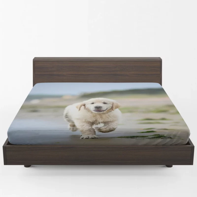 Golden Retriever Sandy Playtime Fitted Sheet