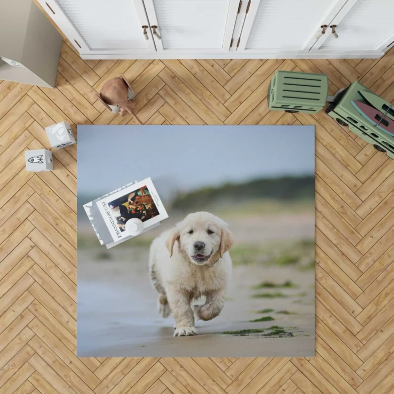 Golden Retriever Sandy Playtime Rug