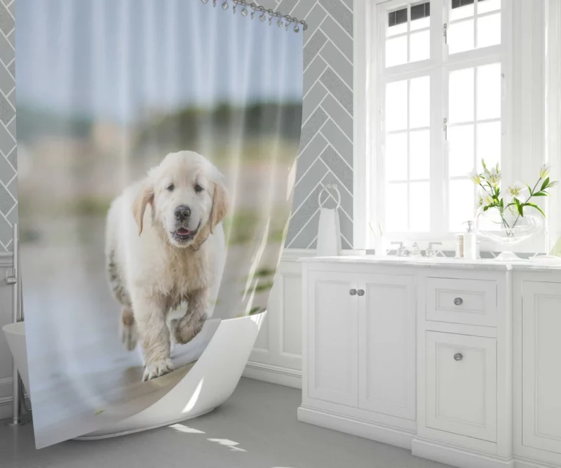 Golden Retriever Sandy Playtime Shower Curtain 1