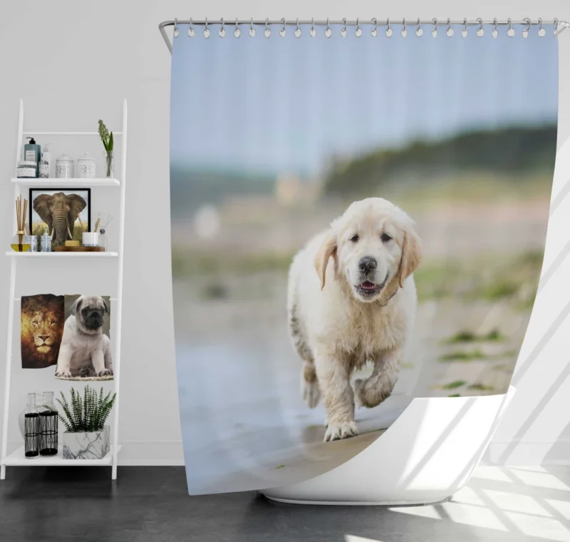 Golden Retriever Sandy Playtime Shower Curtain