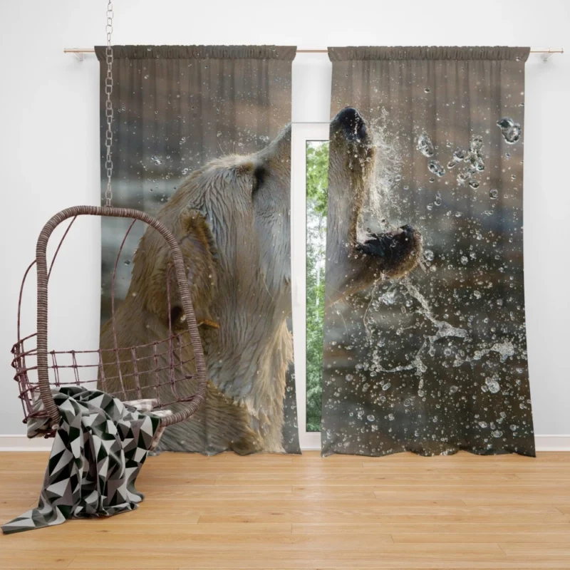 Golden Retriever Splashing Fun Water Delights Curtain