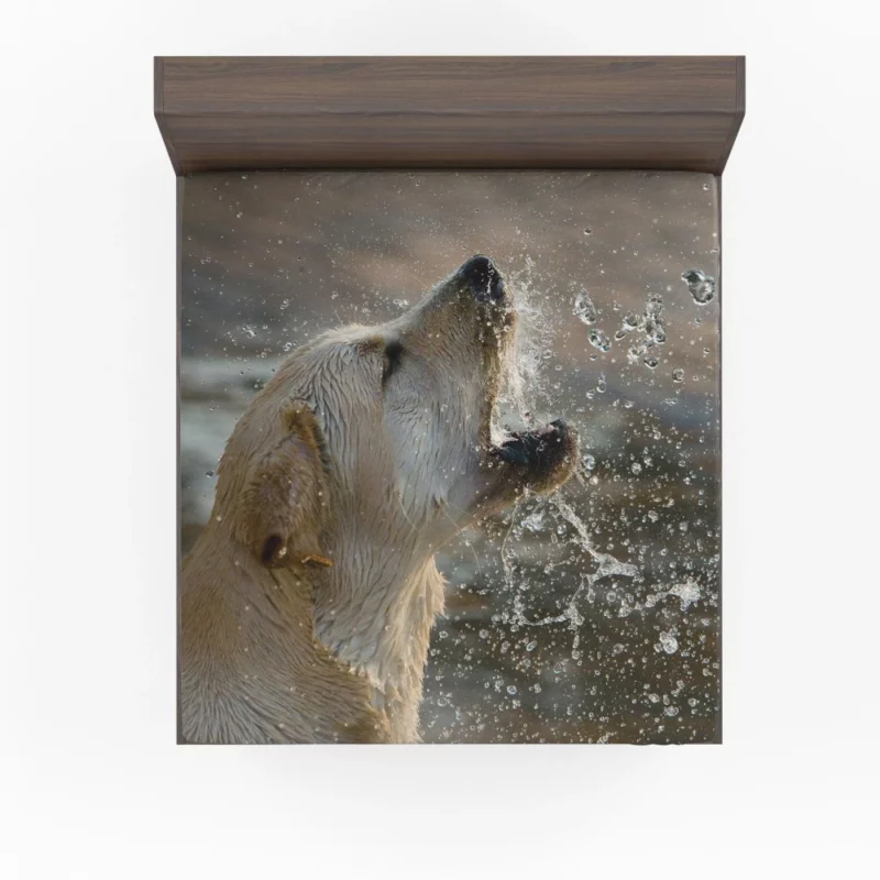 Golden Retriever Splashing Fun Water Delights Fitted Sheet 1