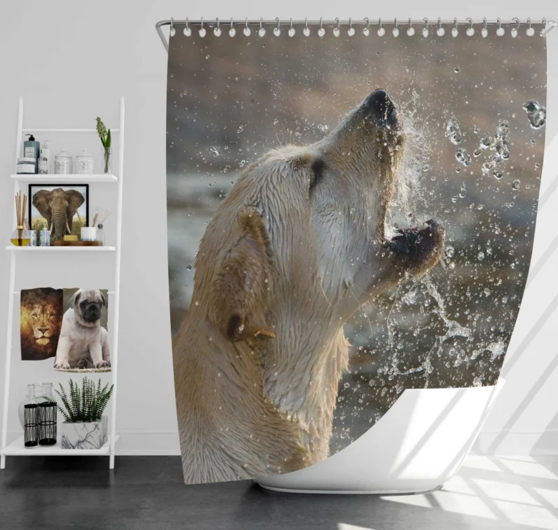 Golden Retriever Splashing Fun Water Delights Shower Curtain