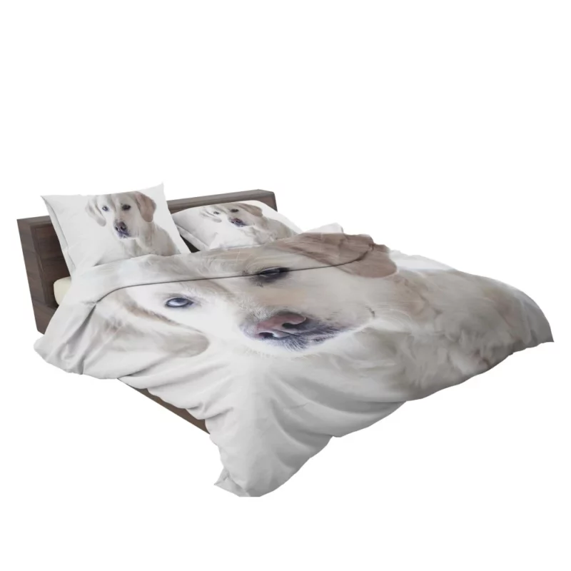 Golden Retriever Thoughtful Gaze Canine Reflection Bedding Set 2