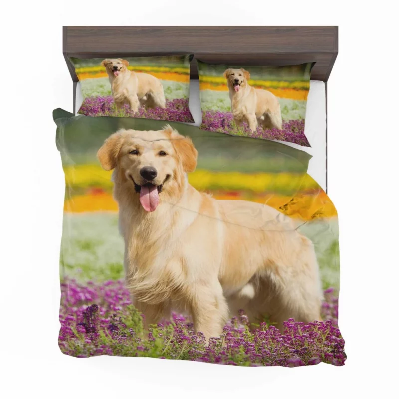 Golden Retriever Wholesome Depth Bedding Set 1