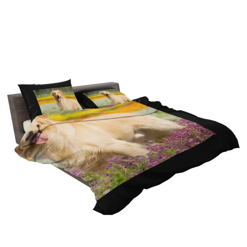 Golden Retriever Wholesome Depth Bedding Set 2