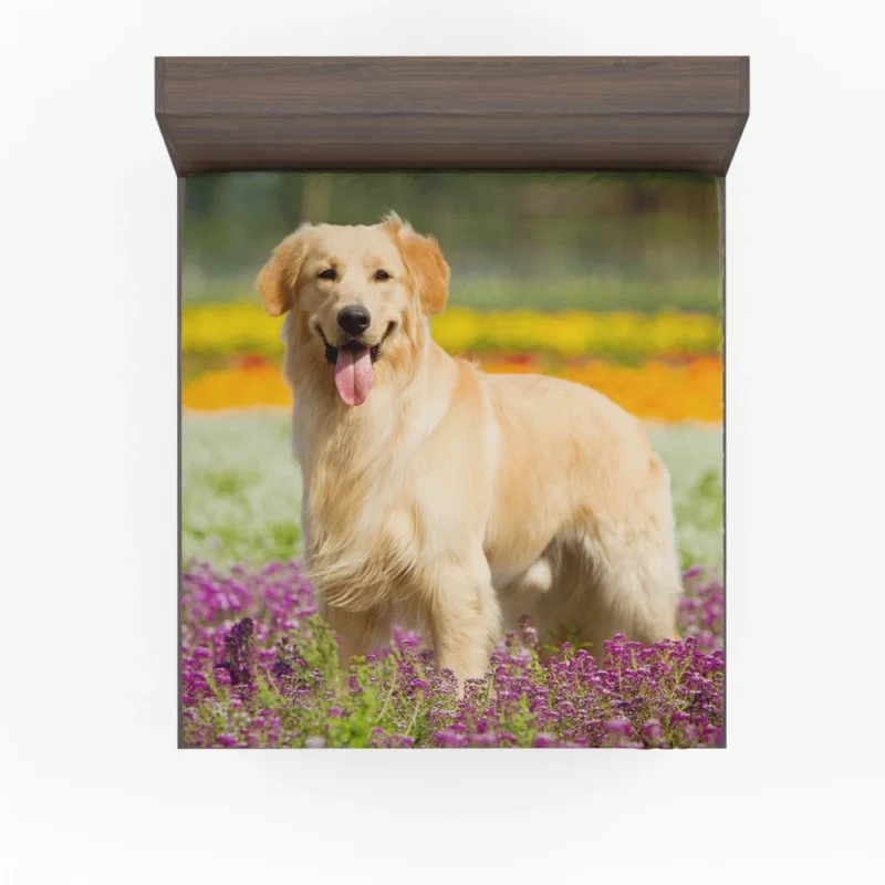 Golden Retriever Wholesome Depth Fitted Sheet 1