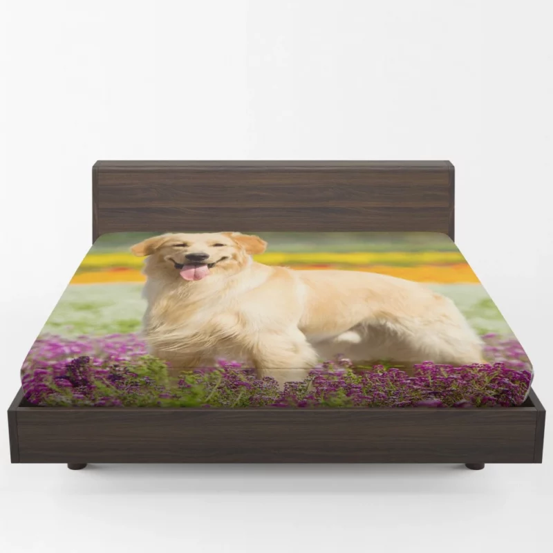 Golden Retriever Wholesome Depth Fitted Sheet