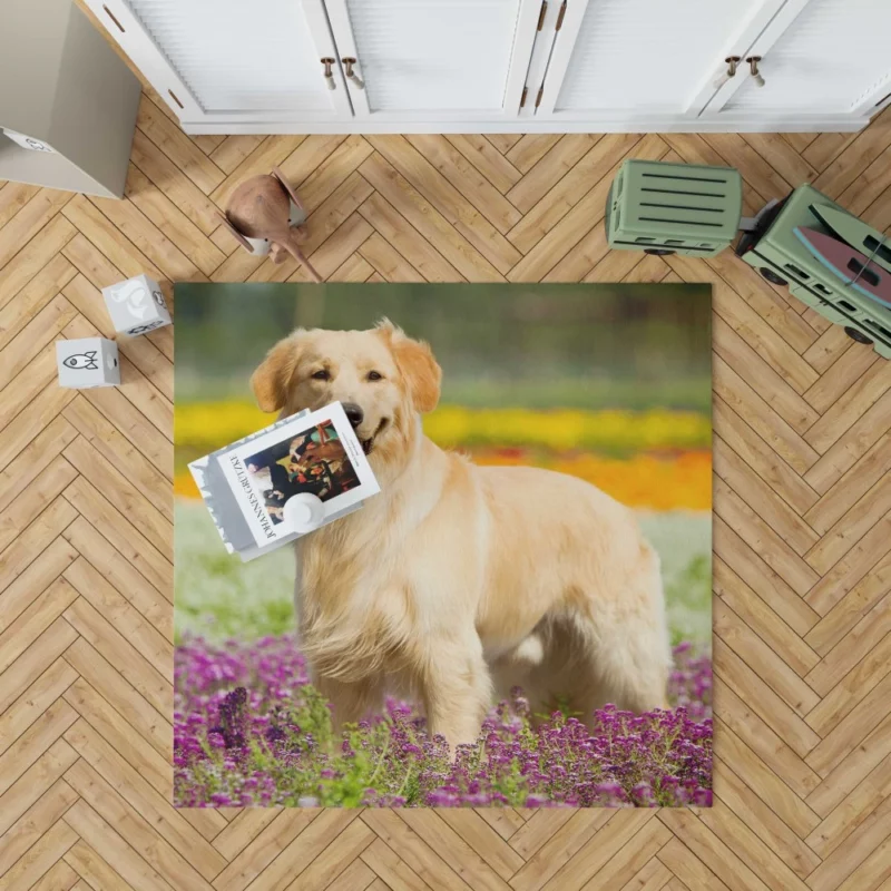 Golden Retriever Wholesome Depth Rug