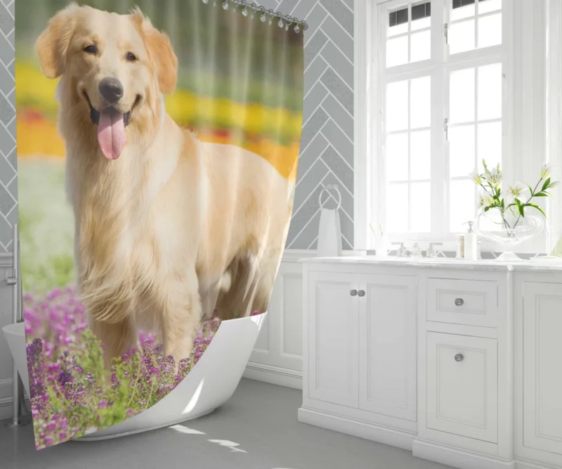 Golden Retriever Wholesome Depth Shower Curtain 1