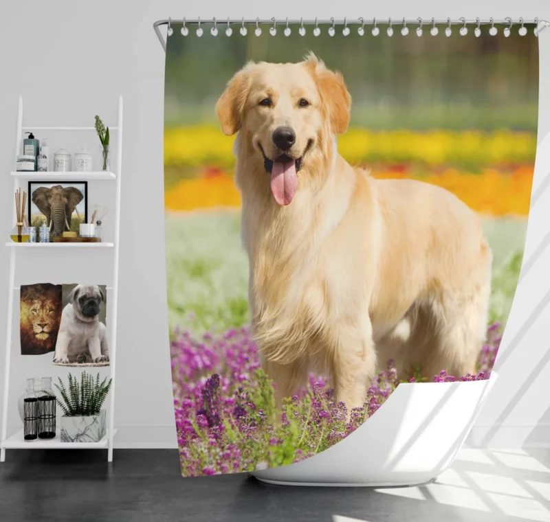 Golden Retriever Wholesome Depth Shower Curtain