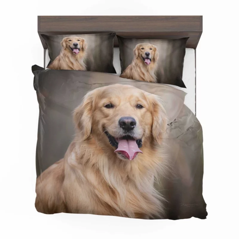 Golden Retriever Wholesome Essence Bedding Set 1