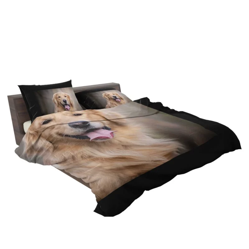 Golden Retriever Wholesome Essence Bedding Set 2