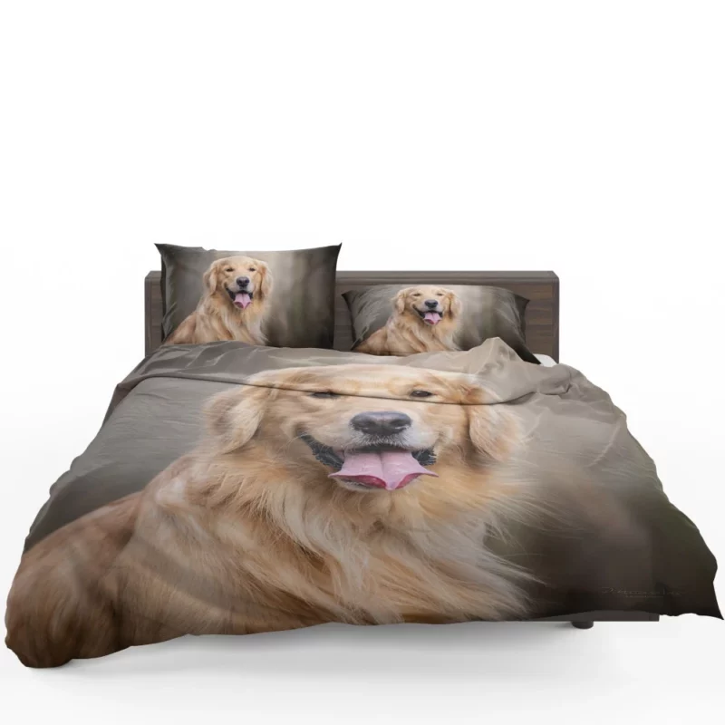 Golden Retriever Wholesome Essence Bedding Set